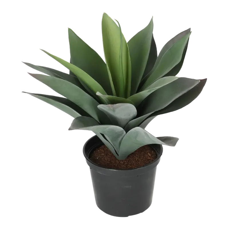 Kunstig baby agave - H: 25 cm.