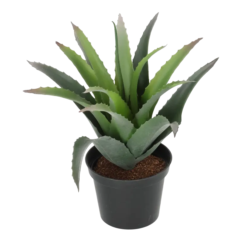 Kunstig baby agave - H: 23 cm.