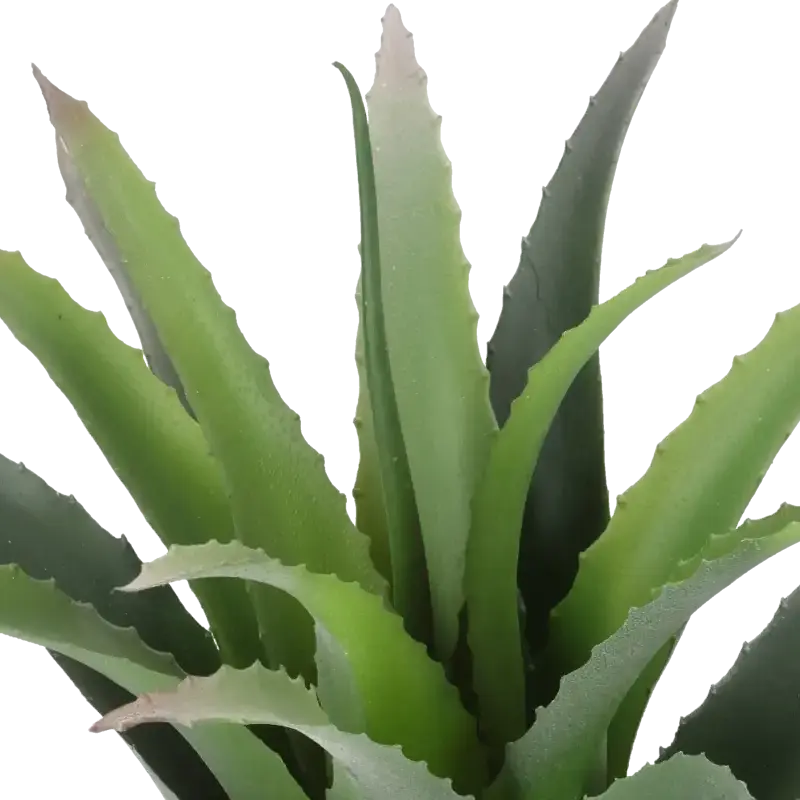 Closeup af Kunstig baby agave - H: 23 cm.