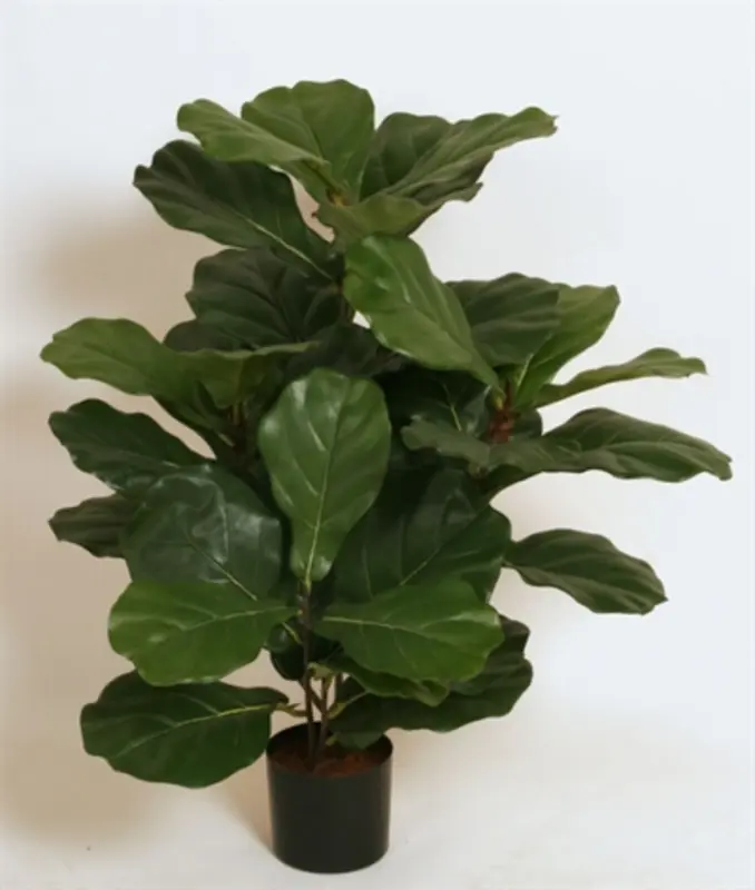 Kunstig fiddleleaf Fig - H: 65 cm.