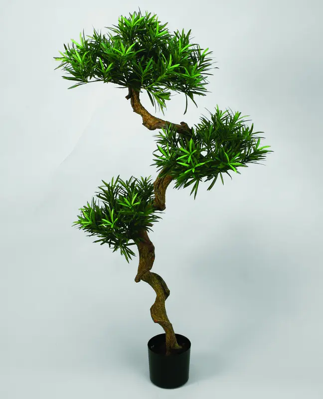 Kunstig podocarpus - H: 170 cm.