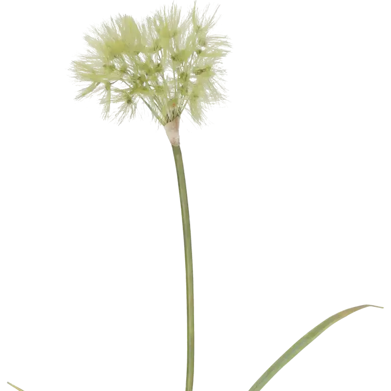 Closeup af Kunstig grøn mælkebøtte stilk - L: 105 cm.