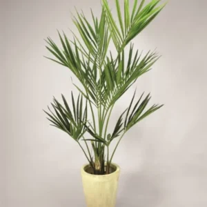 Kunstig kentia palme - H: 170 cm.
