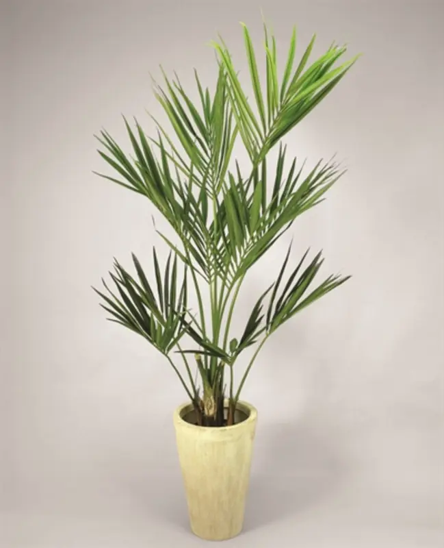 Kunstig kentia palme - H: 170 cm.