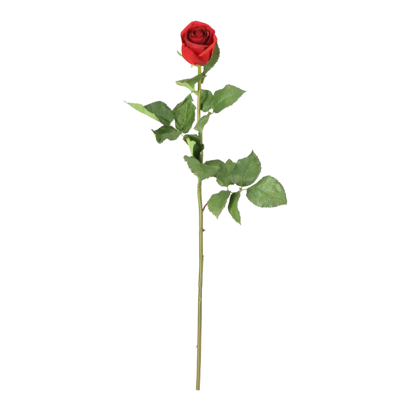 Kunstig rød Rose stilk - L: 75 cm.