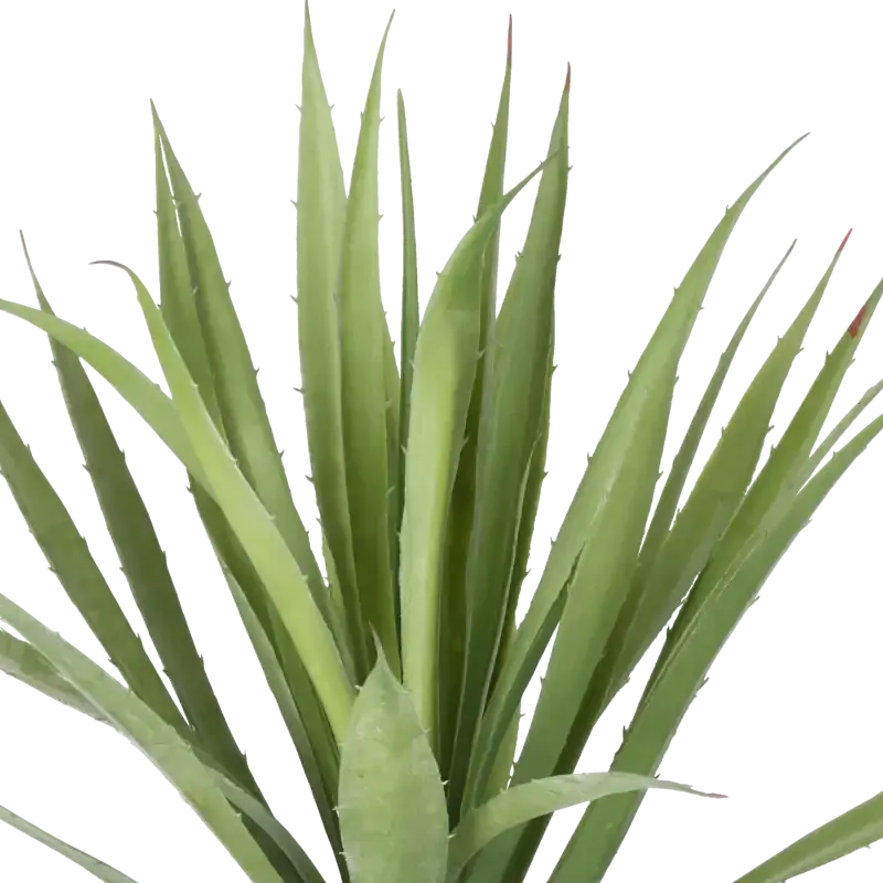 Closeup af Kunstig agave - H: 40 cm.