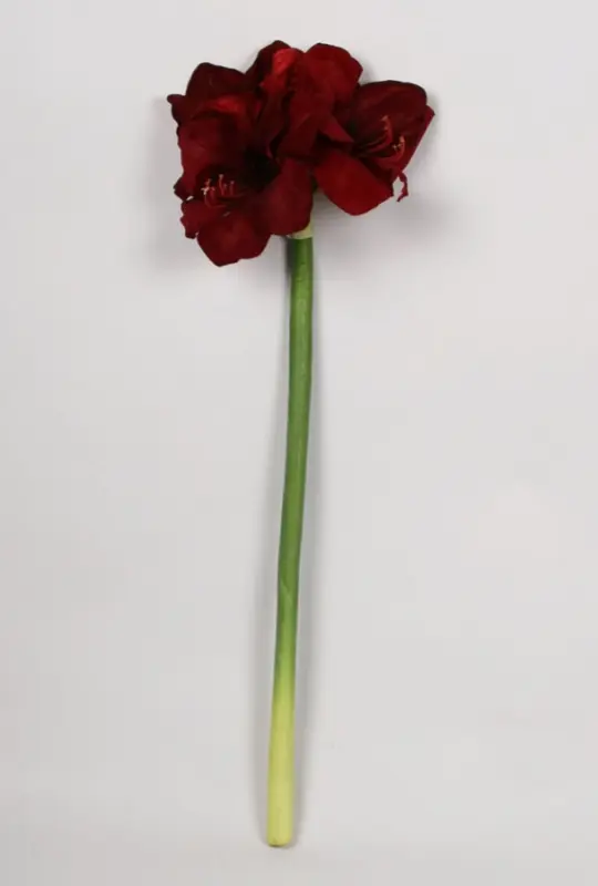 Kunstig Amaryllis burgundy - L: 75 cm.