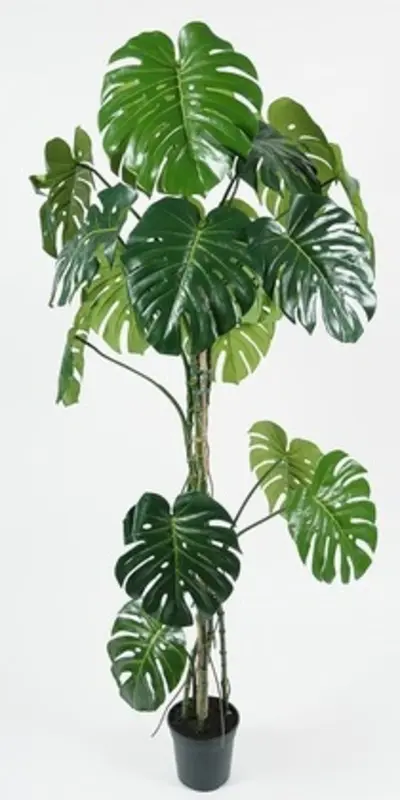 Kunstig fingerphilodendron - H: 180 cm.