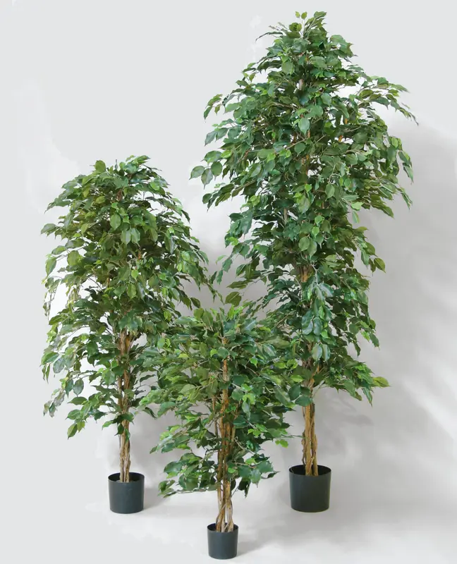 Kunstig ficus træ - H: 160 cm.