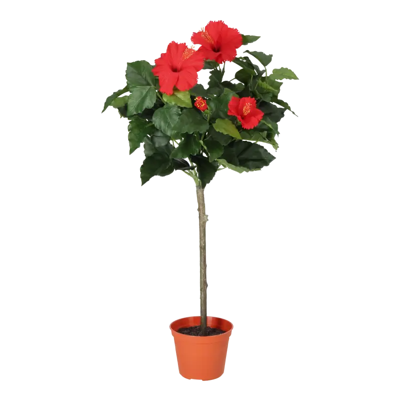 Kunstig opstammet hibiscus rød - H: 66 cm.