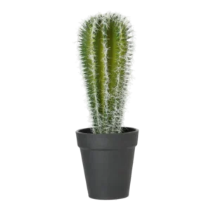 Kunstig kaktus - H: 28 cm.