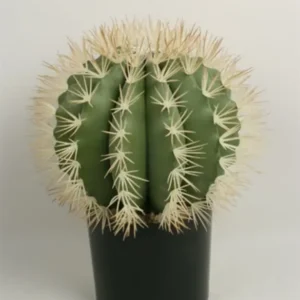 Kunstig rund kaktus - H: 40 cm.