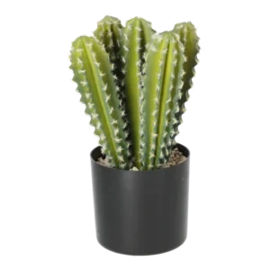 Kunstig kaktus plante - H: 31 cm.