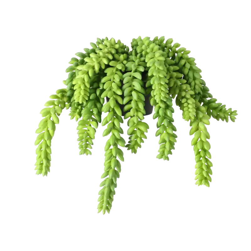 Kunstig sedum rupestre - L: 14 cm.