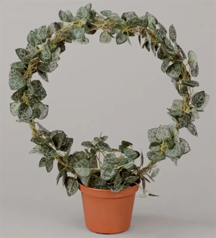 Kunstig hjerteranke på ring - H: 28 cm.
