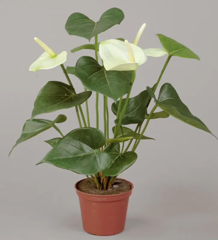 Kunstig flamingoblomst hvid - H: 42 cm.