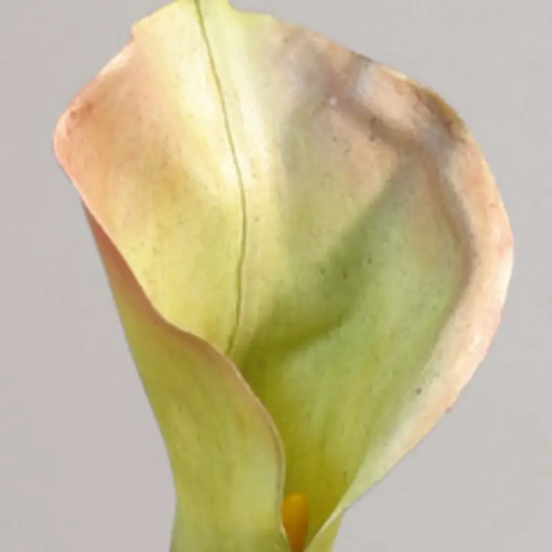 Kunstig Calla stilk grøn L: 60 cm.