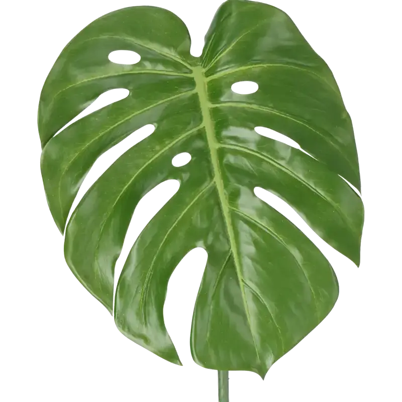 Closeup af Kunstig philo blad - L: 60 cm.