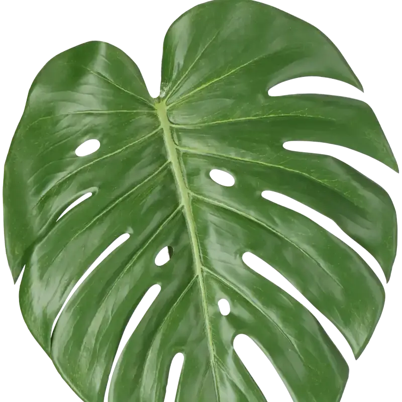 Closeup af Kunstig philo blad med stilk - L: 60 cm.