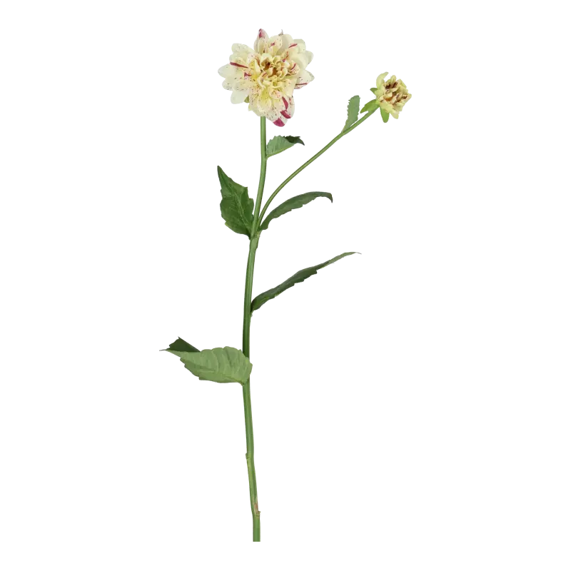 Kunstig hvid/lilla Dahlia stilk - L: 65 cm.