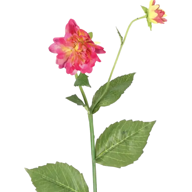 Closeup af Kunstig lyserød Dahlia stilk - L: 65 cm.