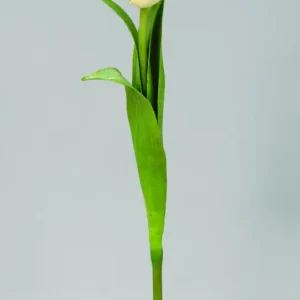 Kunstig tulipan creme - L: 40 cm.