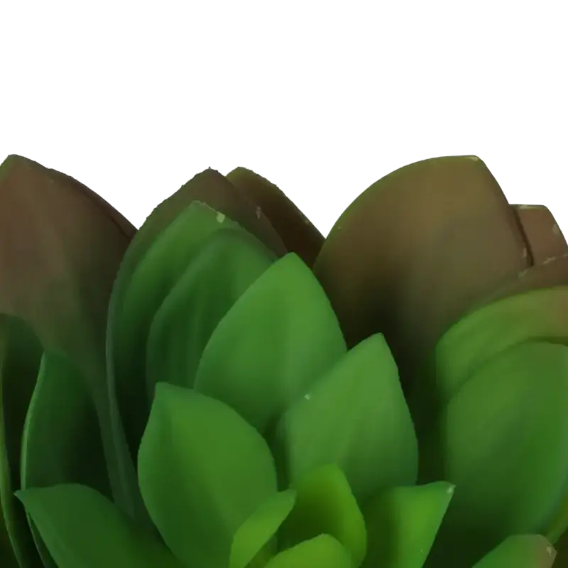 Closeup af Kunstig grøn sukkulent - Ø: 35 cm.