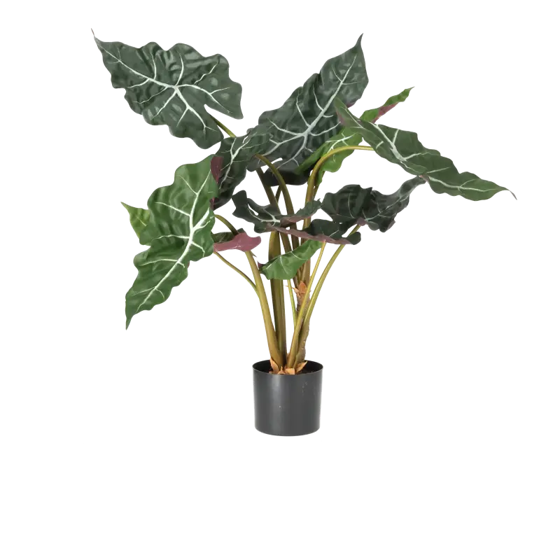 Kunstig alocasia - H: 60 cm.