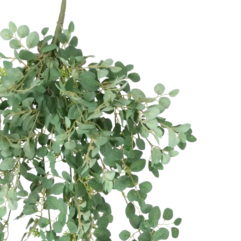 Closeup af Kunstig eukalyptus hængeplante - L: 80 cm.
