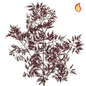 Kunstig ming aralia gren FR - L: 72 cm.