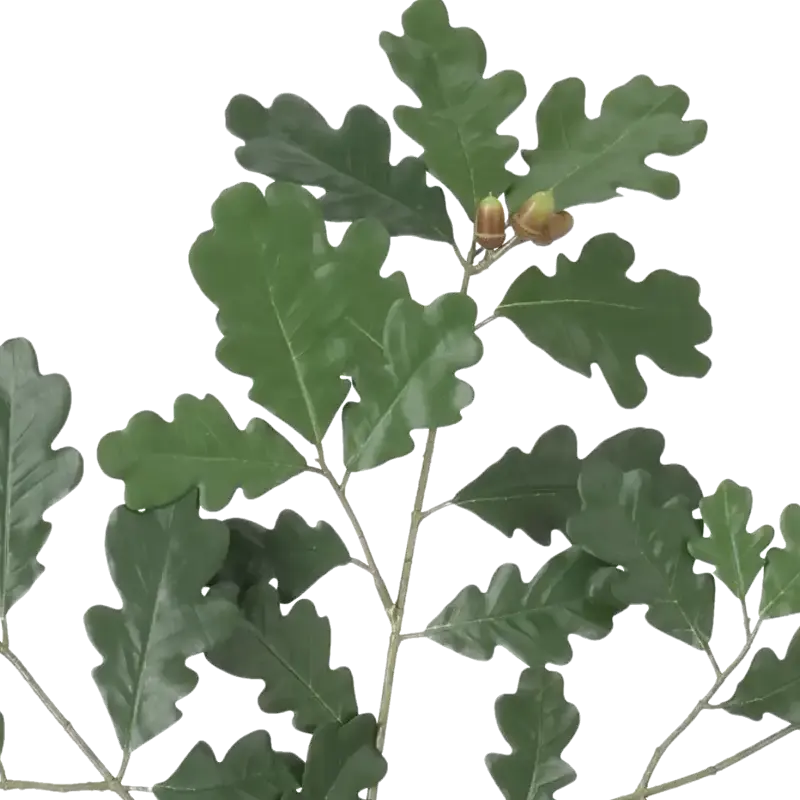 Closeup af Kunstig egegren med frugter FR - L: 68 cm.