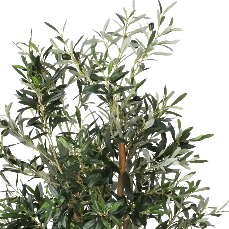 Closeup af Kunstig oliventræ med frugt - H: 110 cm.