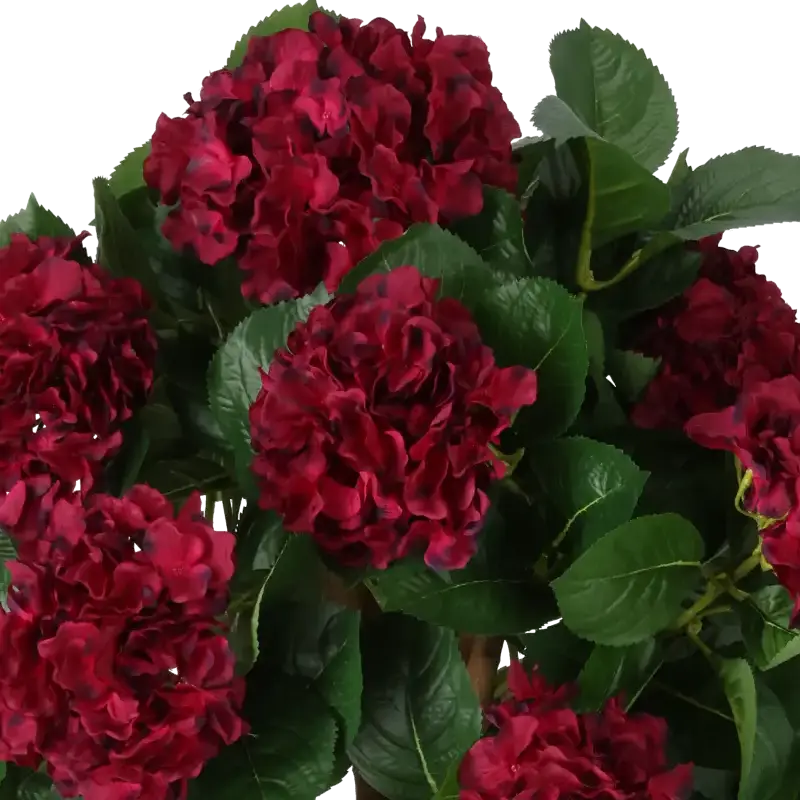 Closeup af Kunstig hortensia træ burgundy H: 65 cm.