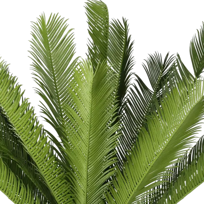 Closeup af Kunstig cycas palme - H: 110 cm.