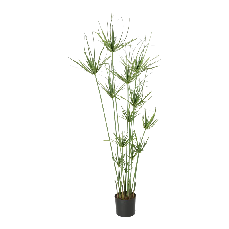 Kunstig papyrus plante - 140 cm.