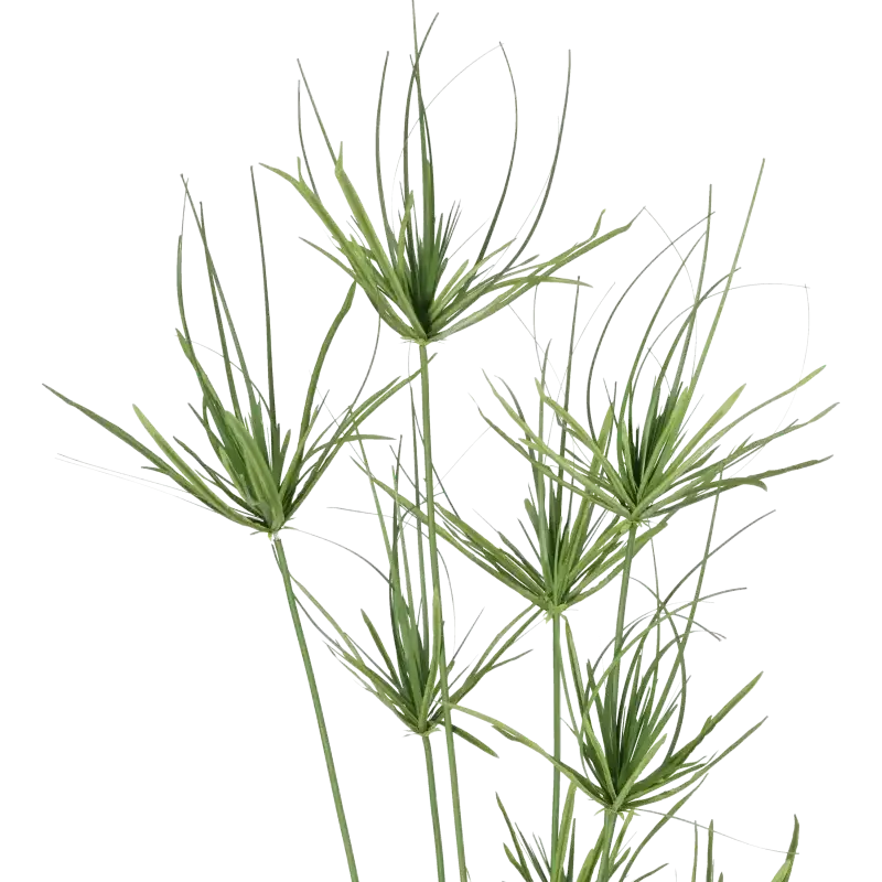 Closeup af Kunstig papyrus plante 140 cm.
