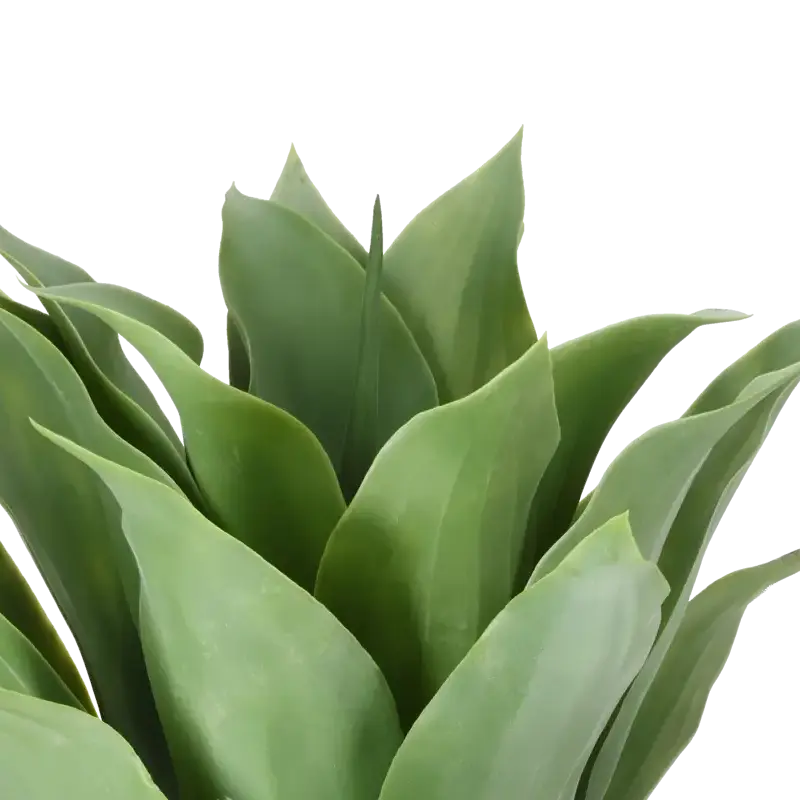 Closeup af Kunstig Giant Agave - H 57 cm.