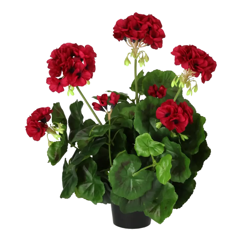 Kunstig pelargonie cerise - H: 35 cm.