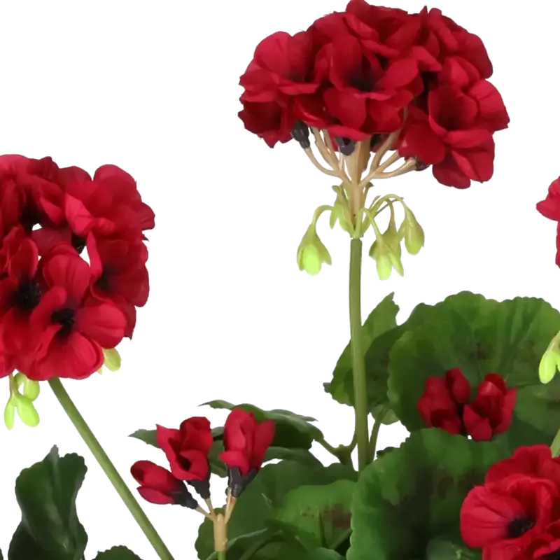 Closeup af Kunstig pelargonie cerise H: 35 cm.