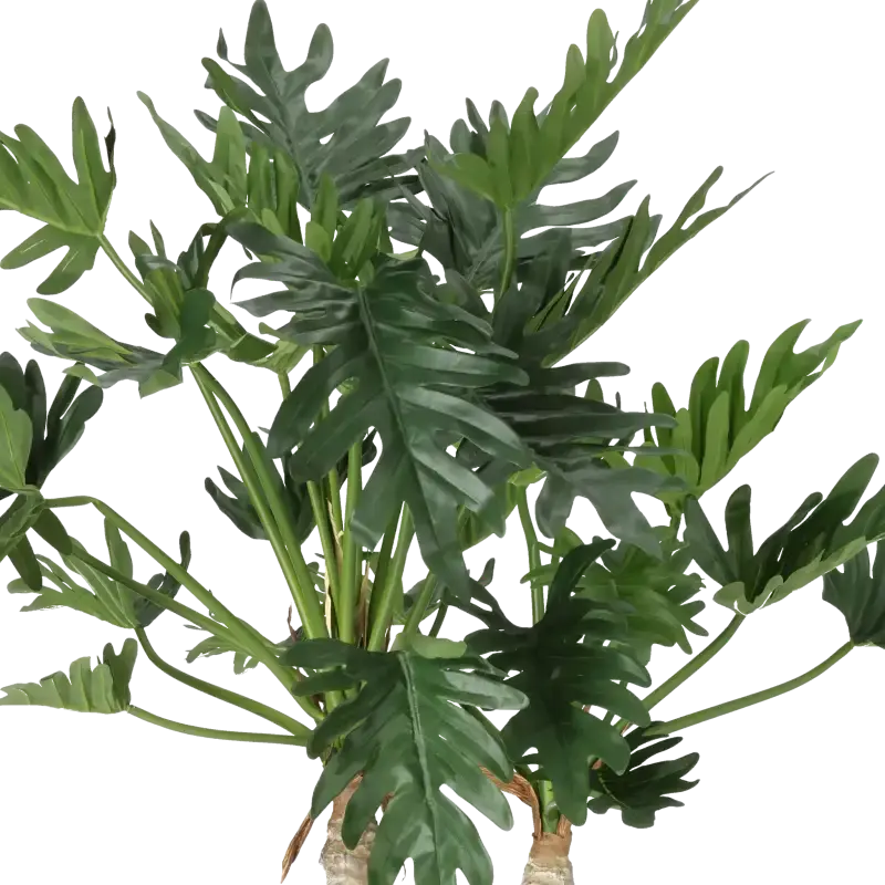 Closeup af Kunstig philodendron Selloum H: 92 cm.