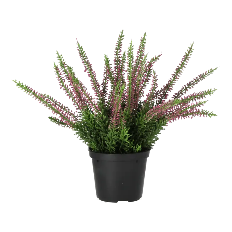 Kunstig lyngplante lilla - H: 25 cm.