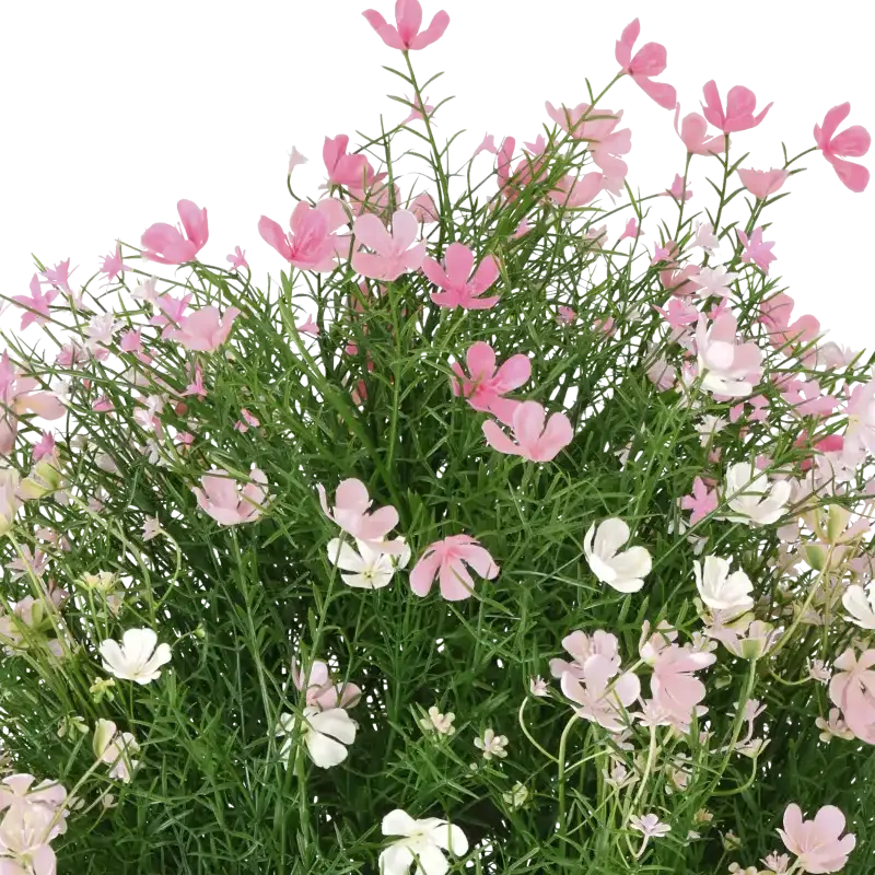 Closeup af Kunstig Gypsophila busk pink H: 48 cm.