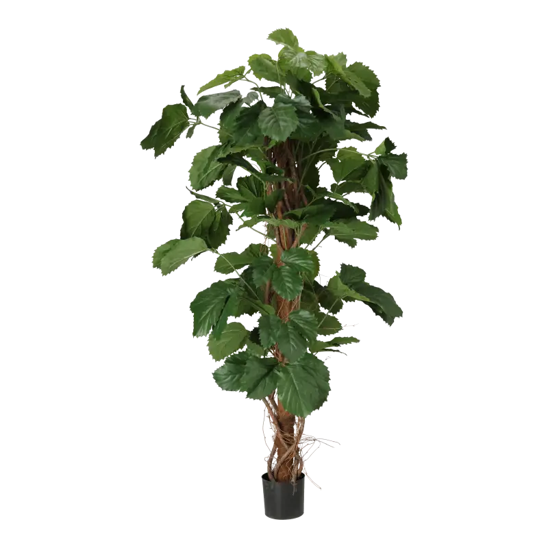Kunstig Tetrastigma plante - H: 160 cm.