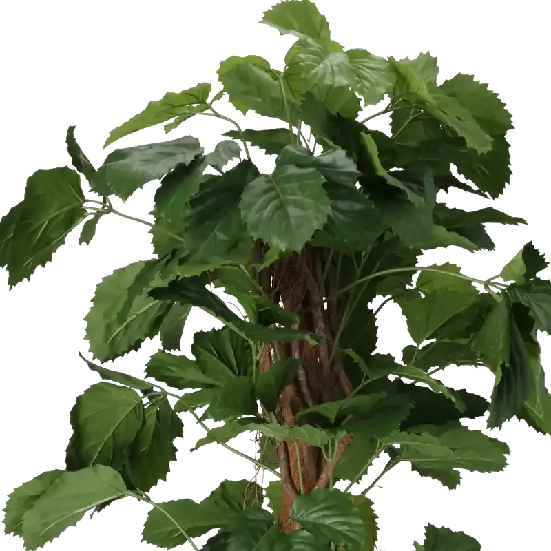 Closeup af Kunstig Tetrastigma plante H: 160 cm.