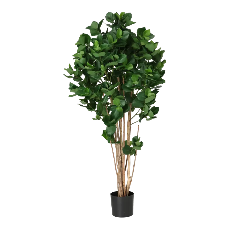 Kunstig clusia træ - H: 140 cm.