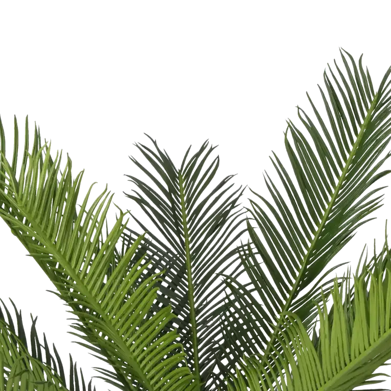 Closeup af Kunstig lille cycas palme - H: 65 cm.