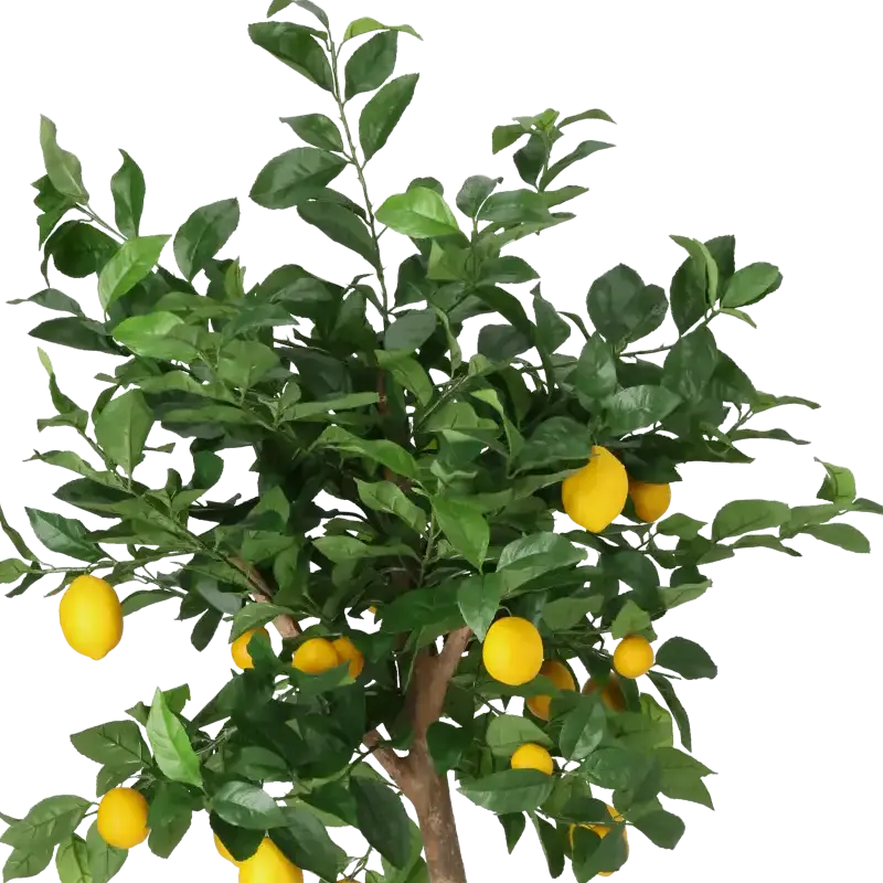 Closeup af Kunstig citrontræ H: 140 cm.