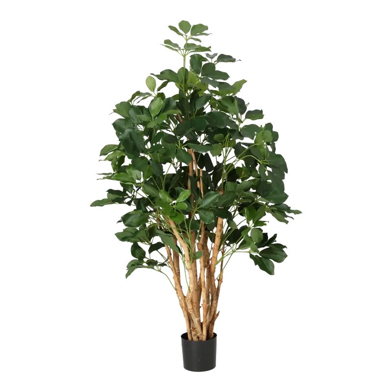 Kunstig Schefflera Exotica træ - H: 120 cm.