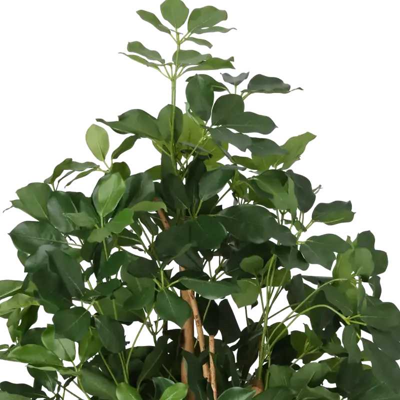 Closeup af Kunstig Schefflera Exotica træ H: 120 cm.