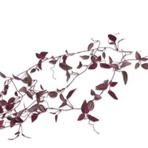 Kunstig hængeranke med bordeaux blade - L. 104 cm.